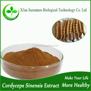 天然高品质Yarchagumbaエキス/cordyceps Sinensisエキス - Product Image 2
