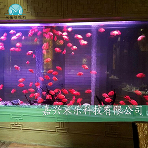 Hoge Kwaliteit Zout Water <span class=keywords><strong>Aquarium</strong></span> Fish Tank Grote Acryl Ondiepe Gebruikt Grote Aquaria Voor Verkoop - Product Image 3