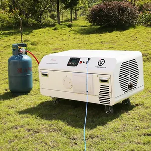 Newest 3 KW Ultra-Silent Gas/LPG Generator With Remote Control