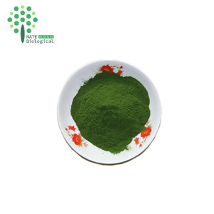 Supply จำนวนมากฟีดเกรด Nannochloropsis Oceanica แป้ง - Product Image 1