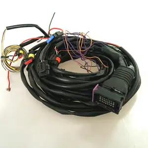 auto injection automotive wire harness car CNG/LPG/LNG wiring harness