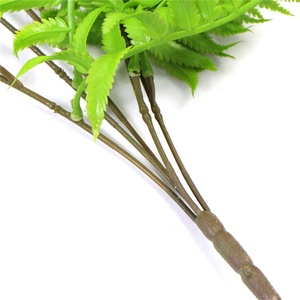 <span class=keywords><strong>Ramas</strong></span> Decorativas <span class=keywords><strong>de</strong></span> <span class=keywords><strong>Sauce</strong></span> Llorón Verde <span class=keywords><strong>de</strong></span> Plástico Simulado Sunwing <span class=keywords><strong>de</strong></span> 80 cm, al por Mayor, <span class=keywords><strong>de</strong></span> Jiangsu - Product Image 2