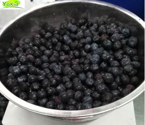 Fuers — fausses fleurs séchées, fruits, nouvelle marque chinoise de haute qualité, pour la fabrication de fruits, myrtille, qqf, prix de gros - Product Image 5