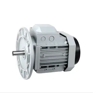 220V 2.2KW yüksek tork düşük devir üç fazlı elektrik motoru ac Motor küçük ac motor