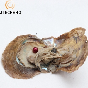 Đồ Trang Sức Giáng Sinh AAA 6-7Mm Hạt Oyster Bao Bì Nước Muối Akoya Oyster Với Vòng Ngọc Trai Nuôi Cấy Tự Nhiên Màu Đỏ - Product Image 1