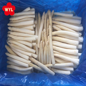 Asparagi Bianchi Surgelati IQF in Confezione da 1kg o su Richiesta del Cliente 10 Kg Asparagi Freschi Tipici Surgelati IQF - Product Image 2