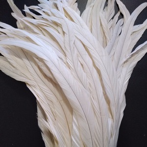 ขนไก่แบบขนไก่ล้างสีขาวขนาด40-45ซม. สำหรับชุดคาร์นิวัล - Product Image 3