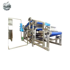 Industrial double belt press machine for kiwi fruit juice making