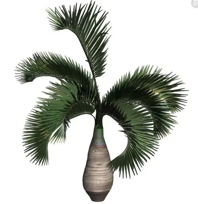Оптовая продажа 250 см искусственная бутылка Коко пальма, искусственное дерево, искусственные растения