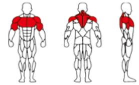 Chất Lượng Cao Precor Phòng Tập Thể Dục Thiết Bị Phía Sau Delt & <span class=keywords><strong>Pec</strong></span> Fly Máy/<span class=keywords><strong>Workout</strong></span> Thiết Bị/Thể Hình ASJ-S837 - Product Image 6