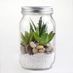 Toptan mini cam bitki terrarium cam turşu kavanozu cam vazo