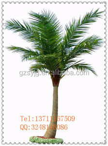 Sy curved bar y longleaf artificial del árbol <span class=keywords><strong>de</strong></span> coco / fake coconut tree / <span class=keywords><strong>planta</strong></span> artificial venta <span class=keywords><strong>de</strong></span> <span class=keywords><strong>la</strong></span> fábrica - Product Image 1