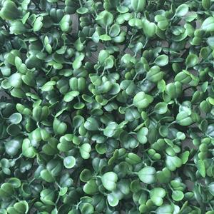 Al por mayor <span class=keywords><strong>boj</strong></span> plástico artificial plantas frente yardmat paneles para la decoración al aire libre - Product Image 3