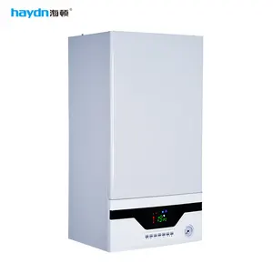 ยุโรปร้อนขายรุ่น24kw 28kw แขวนผนังหม้อไอน้ำก๊าซ