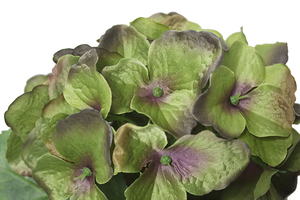 Supla-varita de flores de hortensia artificial, varita de hortensias multicolor, diseño realista - Product Image 5
