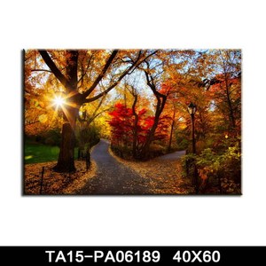 Grandes Impresiones de la Lona Abstracta Moderna Del <span class=keywords><strong>Arte</strong></span> Para El Hogar, Impresión de la Lona Estirada de Jardinería Al Por Mayo - Product Image 3