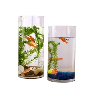 Aquarium portatif en acrylique, Mini bols à poissons, Vase à fleurs, Tube décoration pour la maison, le bureau, fournitures pour poissons, écran cylindrique en Perspex