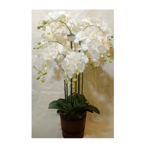Orchidées artificielles décoratives, 1 pièce, grande plante de marché, fleur/Arrangement