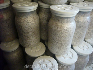 Detan Shimeji Branco <span class=keywords><strong>Spawn</strong></span>/<span class=keywords><strong>Kit</strong></span> de Cultivo de Cogumelos - Product Image 2