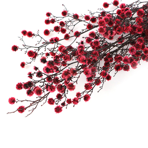 Petit beau matériel de bricolage importé verre d'herbier préservé Graduation Noël Thanksgiving pour la Saint-Valentin - Product Image 1