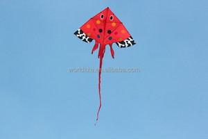 Cometa de Pescado Marino - Product Image 2