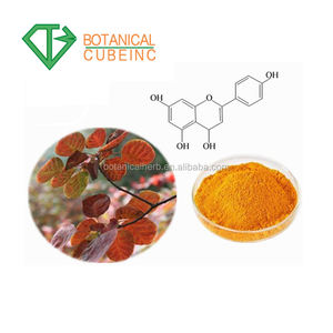 B.C.I 공급 고품질 Liposom <span class=keywords><strong>Fisetin</strong></span> 보충 Smoketree 추출물/Cotinus Coggygria 추출물 분말 <span class=keywords><strong>Fisetin</strong></span> 98% - Product Image 2