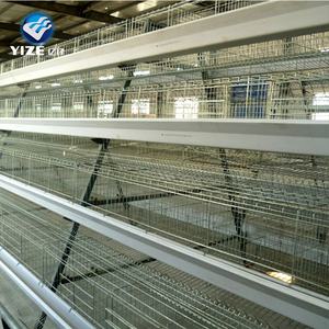 Chine fabricant cages à poulet poules pondeuses <span class=keywords><strong>guangdong</strong></span> - Product Image 5