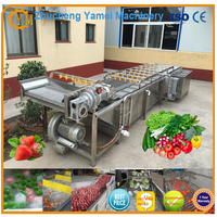 Machine professionnelle pour tri de fraises, m, pour application de paille