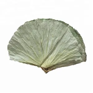 High Quality Organic Lotus Dried Whole Leaf, Slices, Tea-cuts, Granules, Powders