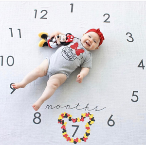 China Cheap Fleece Monthly Baby Muslin <strong>Milestone</strong> <strong>Blanket</strong> - Product Image 3