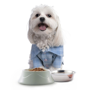 Commercio all'ingrosso Su Misura di Nuovo Disegno In Acciaio Inox Ciotola Del Cane antiscivolo Colorato Eco-Friendly PP Pet Ciotola di Cibo e di Acqua di Alimentazione