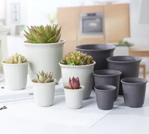 Fornitori della cina Bianco Della Decorazione del Giardino di Plastica Succulente Planter vaso di Fiore Vaso di Plastica