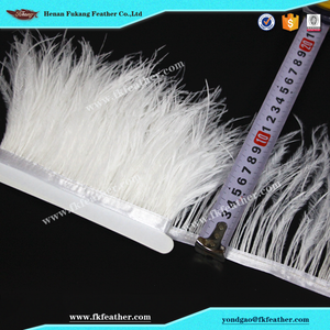 Fukang <span class=keywords><strong>blanco</strong></span> al por mayor <span class=keywords><strong>de</strong></span> plumas <span class=keywords><strong>de</strong></span> <span class=keywords><strong>avestruz</strong></span> cinta uso en graduación diseño <span class=keywords><strong>de</strong></span> vestuario - Product Image 2