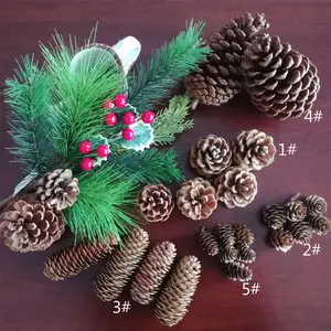 Boxed Natural <strong>Pinecones</strong> and Dried Flowers for Christmas Ornaments and Shooting Props with Flocking Printing Techniques - Product Image 1