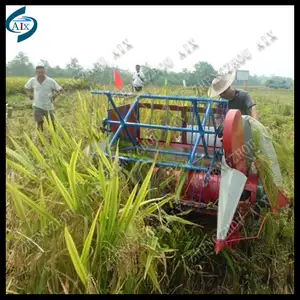 Mini arplastiques de riz, pour village montagne