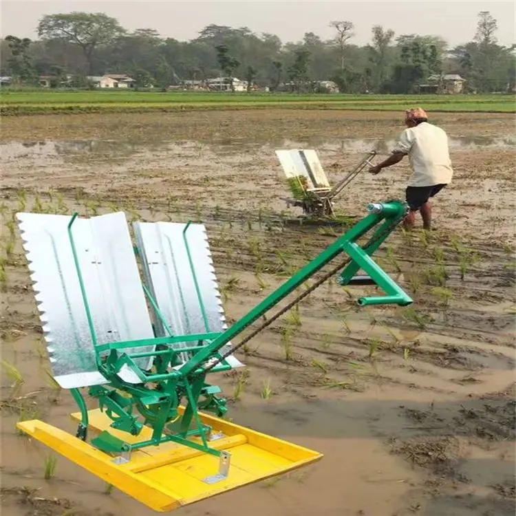 Agricola 2 righe Manuale paddy rice transplanter