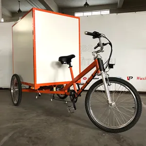 ÉSTER de Entrega de Carga Elétrica Trike, Trike entrega Expressa