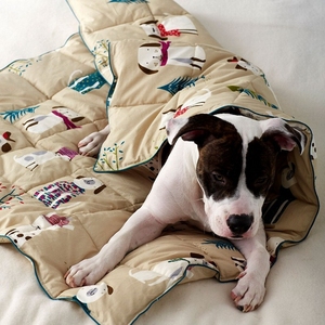 Couverture en coton pour animal de compagnie, plaid avec plumes de <span class=keywords><strong>chien</strong></span>, en tissu, pour le voyage à la maison, nouveauté - Product Image 2