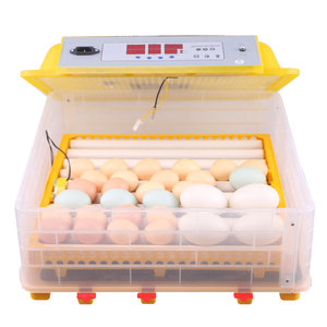 JF-incubadora de <span class=keywords><strong>56</strong></span> huevos, <span class=keywords><strong>mini</strong></span> incubadora de huevos, 12V, proveedor de china, precio de máquina de incubación de <span class=keywords><strong>56</strong></span> huevos - Product Image 3