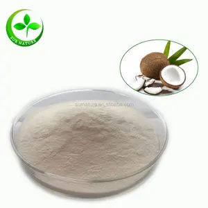 100% Organic Coconut Milk Powder In Bulk / Coconut Fat Powder