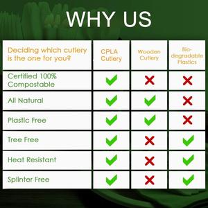 Econewleaf 7 inch phân hủy sinh học dùng một lần cpla nhựa thìa compostable Ice Cream nếm Trà thìa cho các bên - Product Image 6