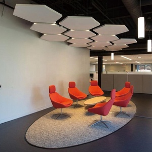 Irregolare curvo onda Acustica sospeso a soffitto