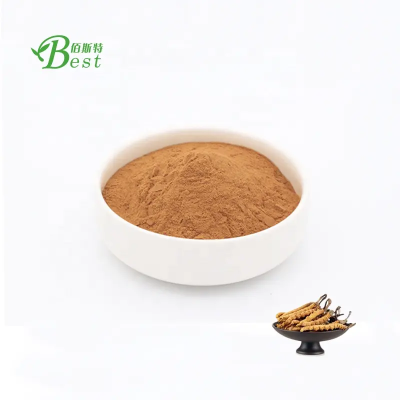 100% शुद्ध Cordyceps/Cordyceps Sinensis/Cordyceps Militaris निकालने पाउडर 4:1-20:1