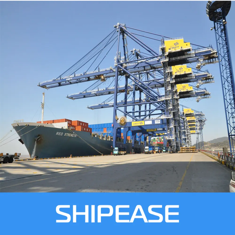 Porta a porta LCL nave per la Grecia da zhuhai in trasporto di mare nave agente di trasporto