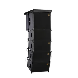 China pro audio 350w 10 polegadas orador line array caixa (VR10)