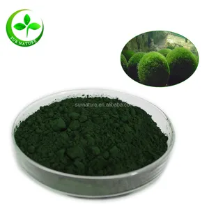 high quality and best price organic chlorella powder in hot selling