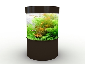 <span class=keywords><strong>Half</strong></span> Moon Ronde <span class=keywords><strong>Aquarium</strong></span> Aangepaste Vorm <span class=keywords><strong>Aquarium</strong></span> Acryl <span class=keywords><strong>Aquarium</strong></span> - Product Image 2