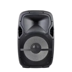 Accuracy Pro Audio PMW15AFX 15 Inch Powered Speaker Wholesale Active Powered Bass Speaker With LED Light