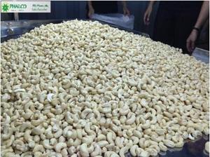 Graines de bois naturelles vietnamiennes, de haute qualité, pour l'exportation - Product Image 5