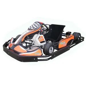 Newly Mode Adult Pedal Control Off Road Go Kart Electric Ride On Gas Powered Go Cart For Sale